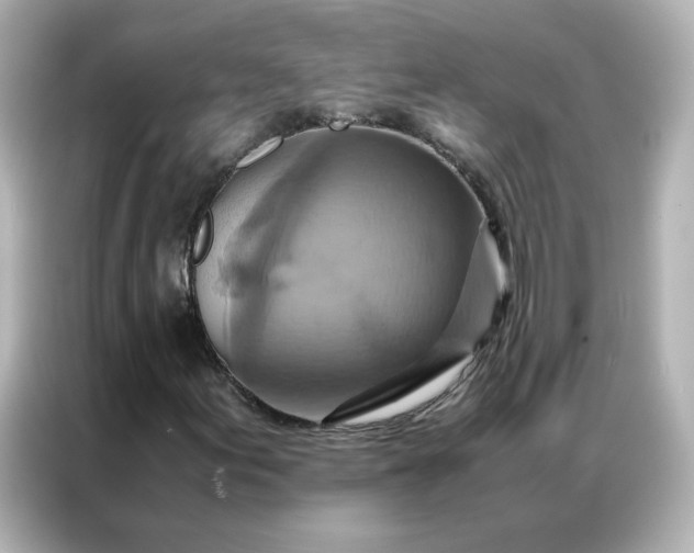 X0000086941155200704301131