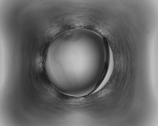X0000086941156200704301131