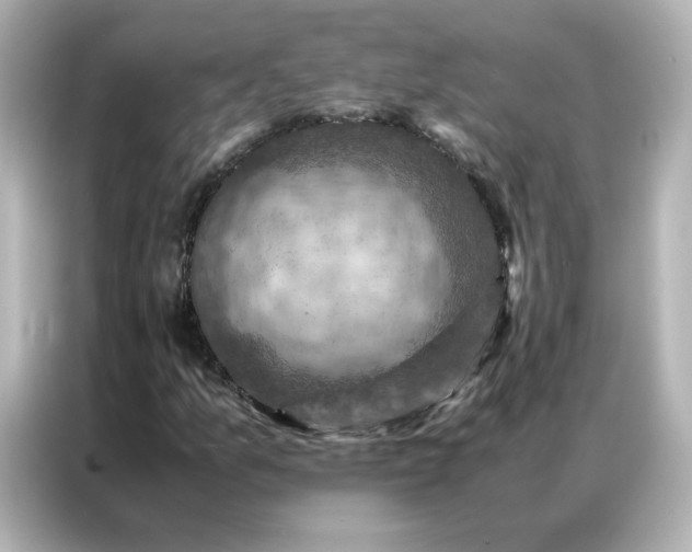 X0000086941157200704301131