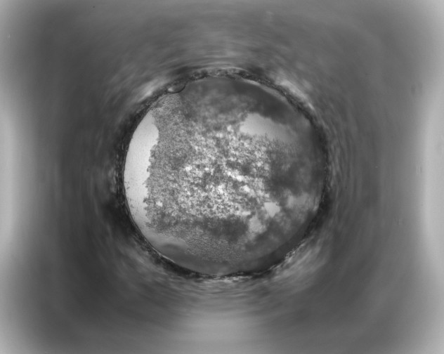 X0000086941159200704301131