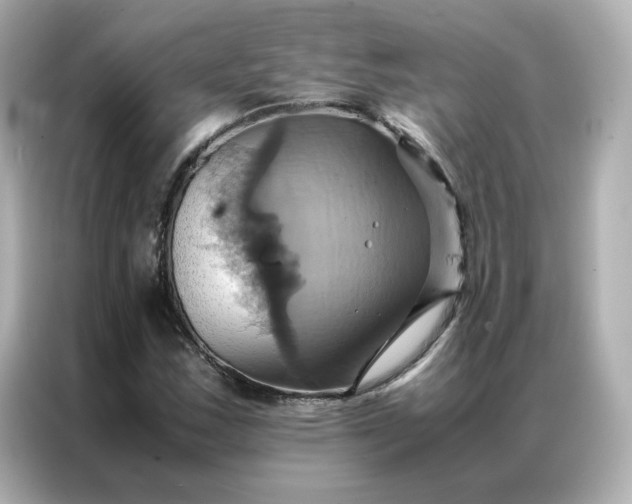 X0000086941163200704301131