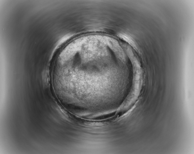 X0000086941164200704301131