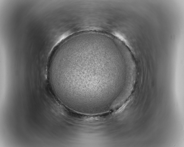 X0000086941165200704301131