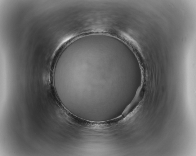 X0000086941166200704301131