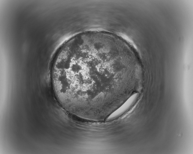 X0000086941167200704301131