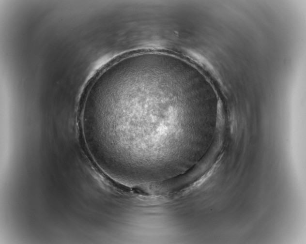 X0000086941168200704301131