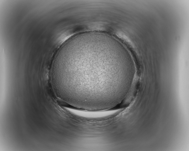 X0000086941169200704301131