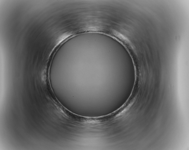 X0000086941170200704301131