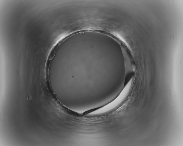X0000086941173200704301131