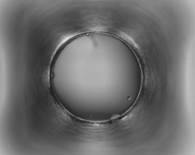 X0000086941174200704301131