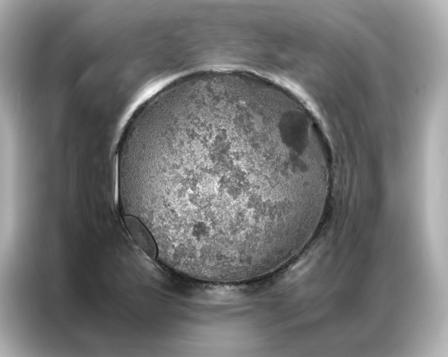 X0000086941175200704301131