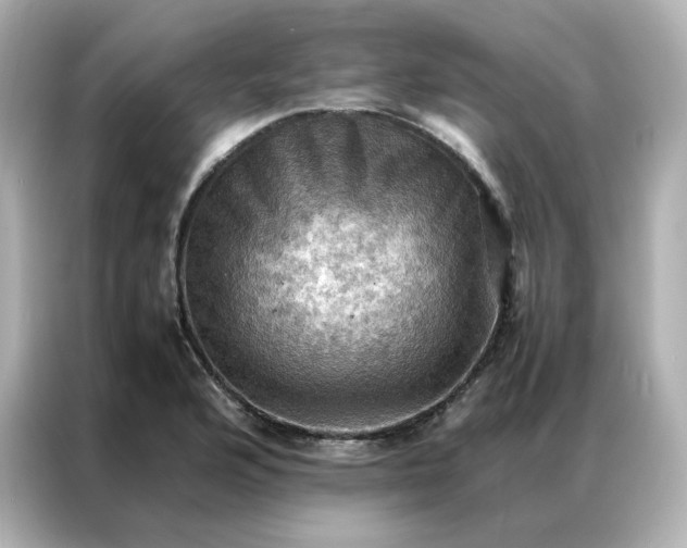X0000086941176200704301131