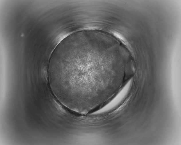 X0000086941177200704301131