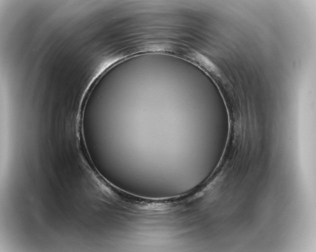 X0000086941178200704301131