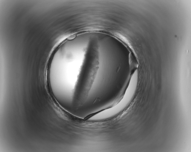 X0000086941179200704301131