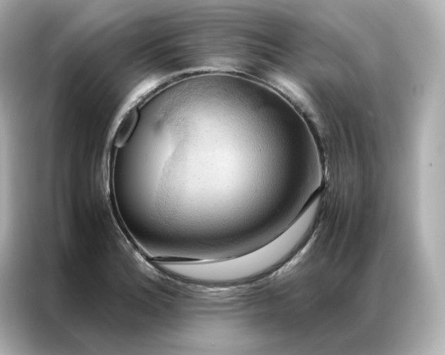 X0000086941180200704301131