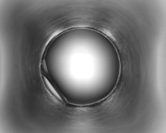 X0000086941181200704301131