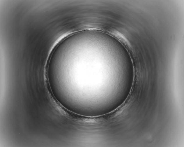 X0000086941182200704301131