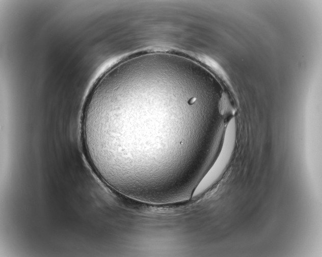 X0000086941183200704301131