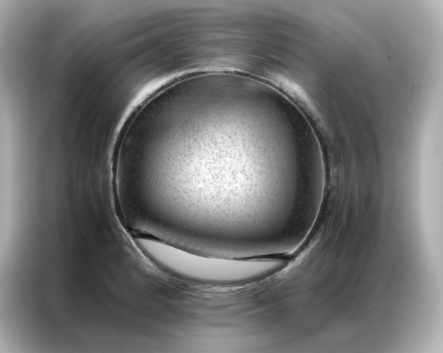 X0000086941184200704301131