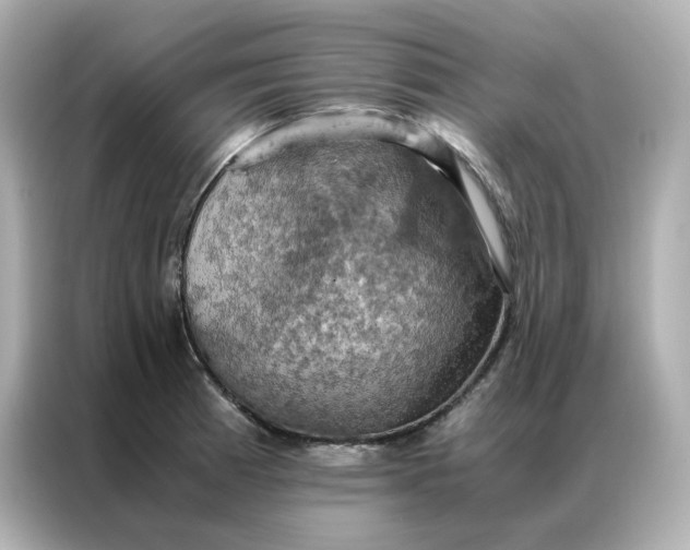X0000086941185200704301131