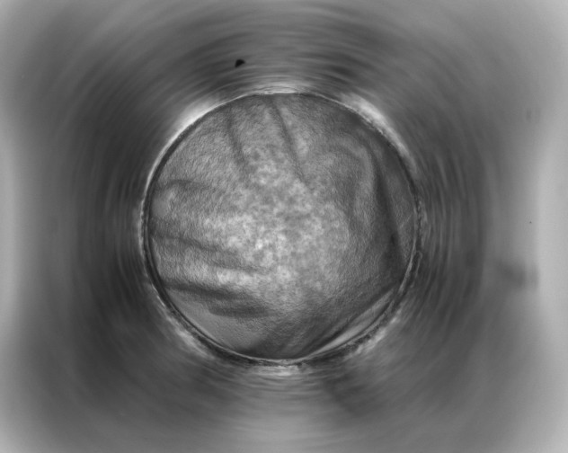 X0000086941186200704301131