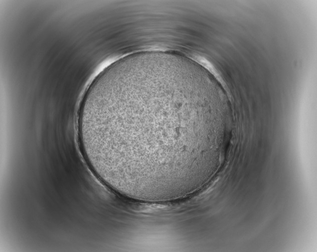X0000086941187200704301131