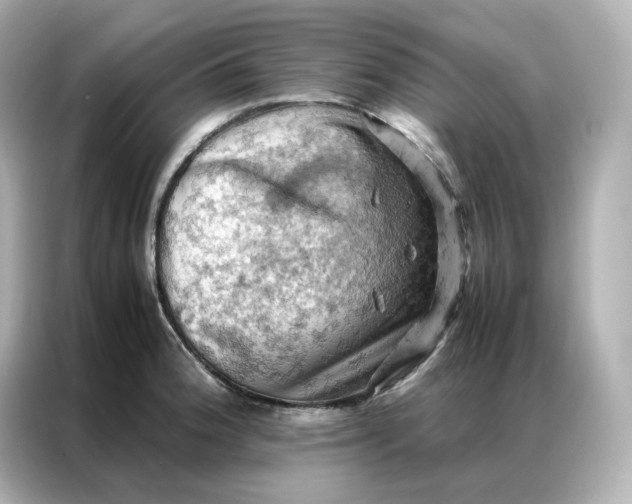 X0000086941188200704301131