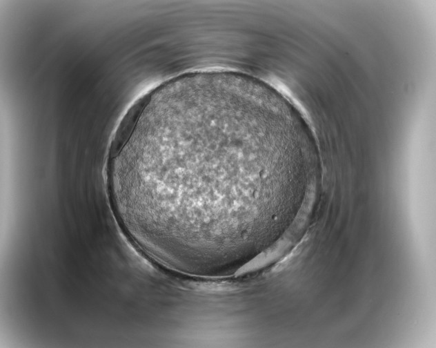 X0000086941189200704301131