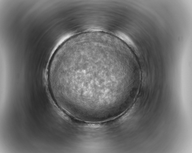 X0000086941190200704301131