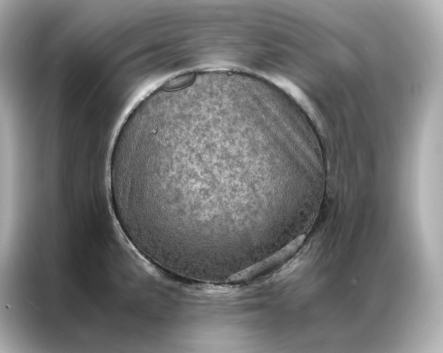 X0000086941191200704301131