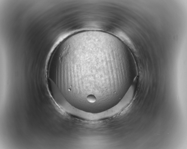 X0000086941192200704301131