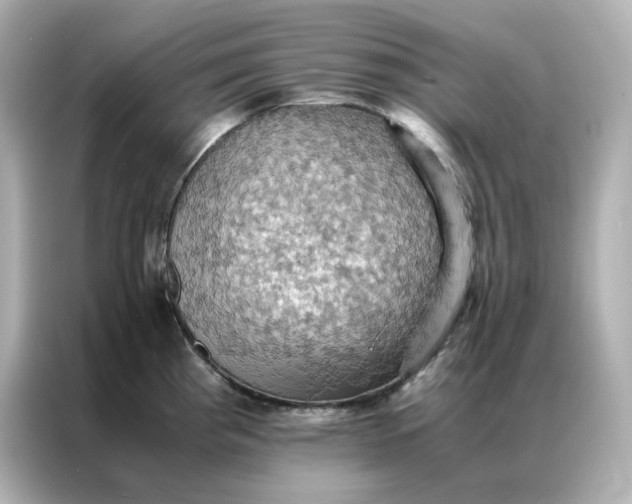 X0000086941193200704301131