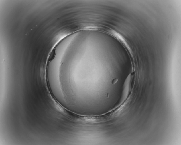 X0000086941194200704301131