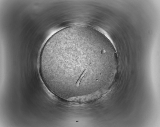 X0000086941195200704301131