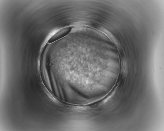 X0000086941196200704301131