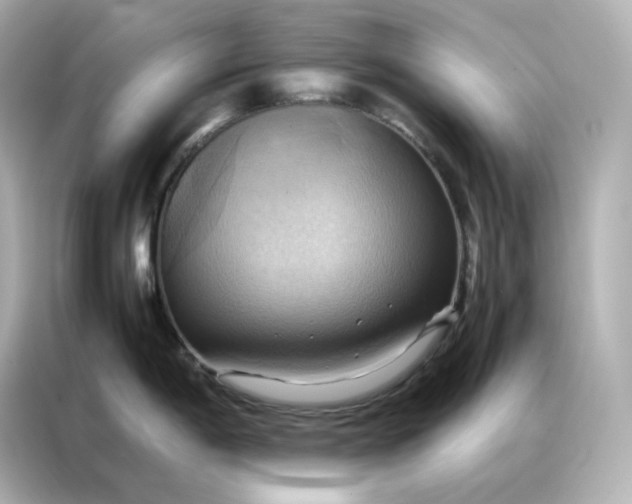X0000086941198200704301131