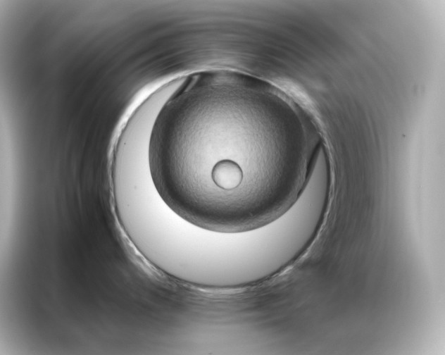 X0000086941200200704301131