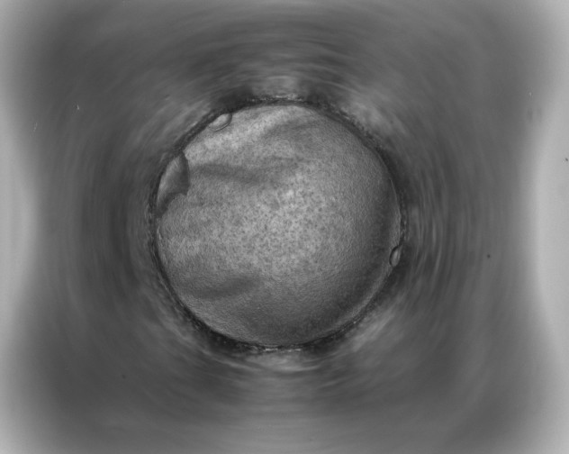 X0000086941201200704301130