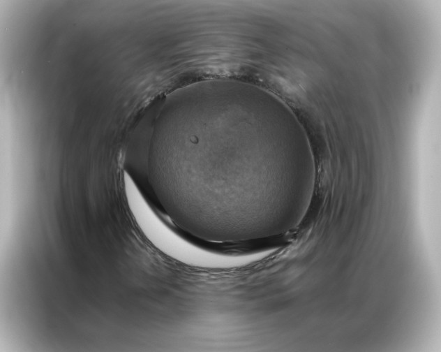 X0000086941202200704301130