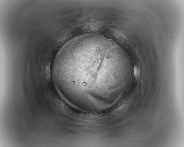 X0000086941203200704301130