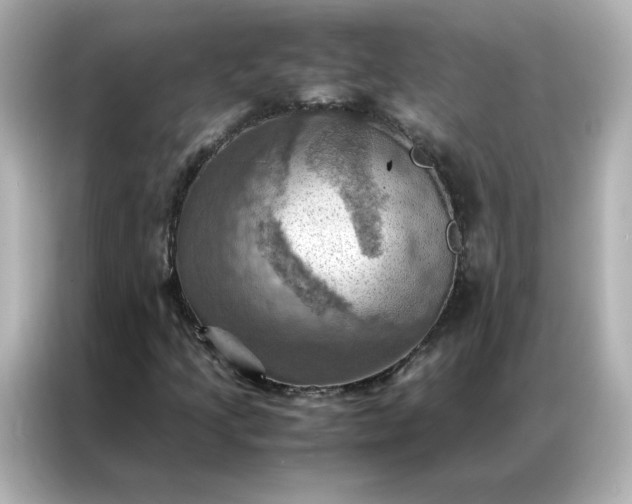 X0000086941205200704301130