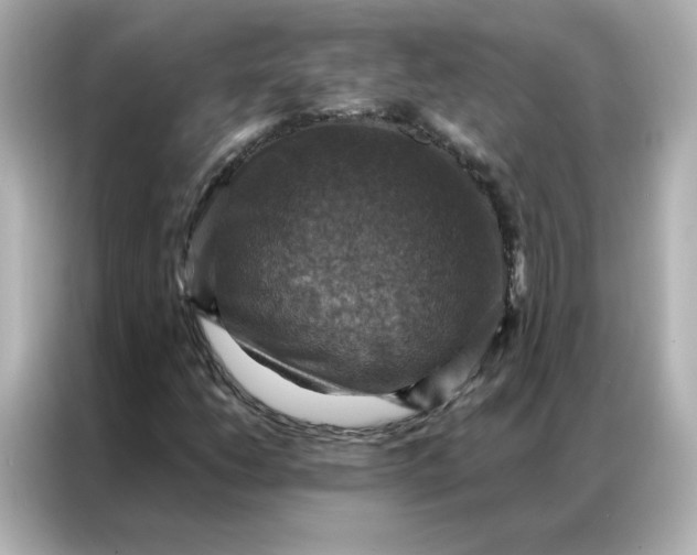 X0000086941206200704301130