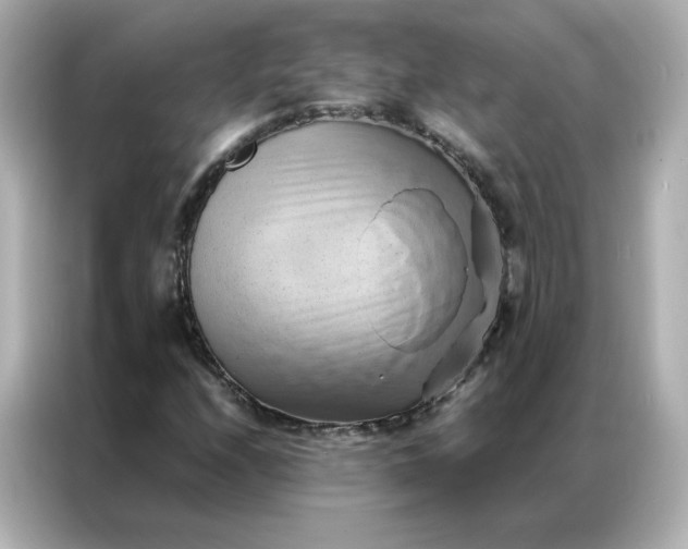 X0000086941208200704301130