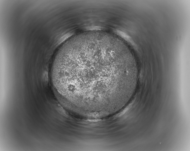 X0000086941209200704301130