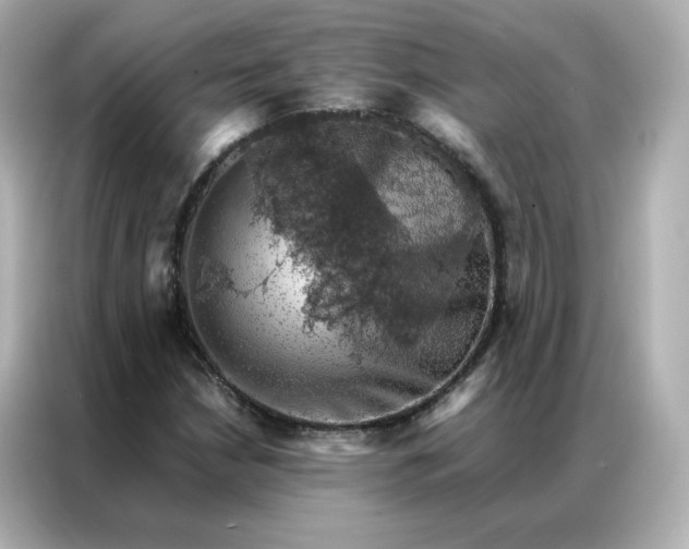 X0000086941210200704301130