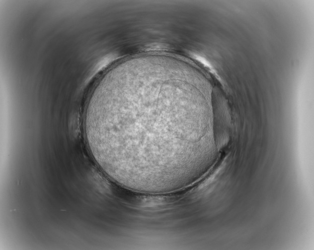 X0000086941211200704301130