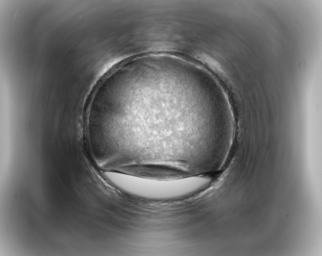 X0000086941212200704301130