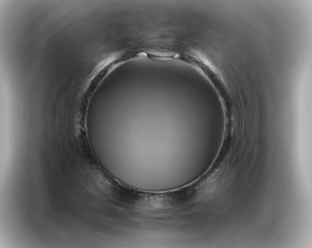 X0000086941213200704301130