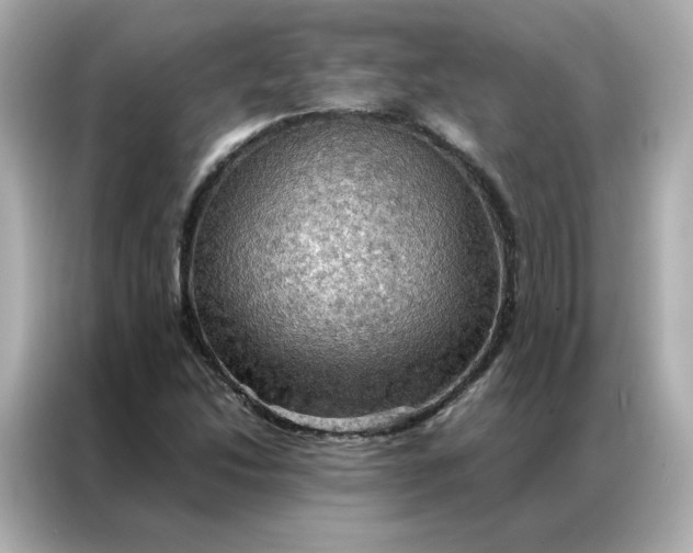 X0000086941214200704301130